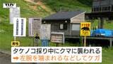 タケノコ採り中にクマが左腕をガブリ クマスプレーで命拾い 鶴岡市で男性がケガ…近くでクマ出没相次ぐ 米沢市の高校では新たなクマ対策始まる(山形) | 山形のニュース│TUYテレビユー山形