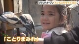 360度たくさんの動物に囲まれて…「アニマルパラダイス360」が動物園内にグランドオープン=静岡・東伊豆町　|　静岡のニュース | SBSNEWS | 静岡放送