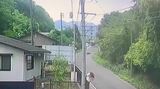【動画あり】福島市の住宅地にクマ出没 警察など追い払う 福島 | 福島のニュース│TUF