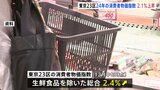 12月の都区部消費者物価2.4%上昇 24年平均では2.1%上昇|TBS NEWS DIG
