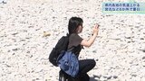 宮古26度 浄土ヶ浜にはTシャツ姿の人も 岩手県内6か所で夏日に|TBS NEWS DIG