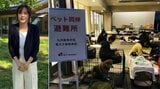 【 熊本地震 】杉本彩 熊本・竜之介動物病院の現状を伝える〝必要な支援が生じた際は行動したい〟家庭の犬猫たちが避難|TBS NEWS DIG
