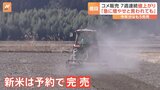 今年の新米は予約で完売　2月から作付け準備始める農家も　「急に増やせと言われても」終わり見えない価格高騰に生産者も悲鳴|TBS NEWS DIG