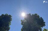 県内気温上昇、佐久間36.8℃、三島35.9℃など各地で猛暑日、熱中症に警戒呼びかけ=静岡 | 静岡のニュース | SBSNEWS | 静岡放送