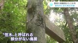 震度6弱観測から2か月 高知県宿毛市にまだ残る爪痕 | 高知のニュース・天気|KUTV NEWS | KUTVテレビ高知