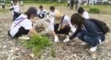 海水浴シーズンを前に海岸で清掃活動 愛媛・伊予市 | 愛媛のニュース - Nスタえひめ|あいテレビは6チャンネル