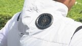 「高温対策にもなるので、ものすごくいい補助金」酷暑の農家を守れ!ファン付き作業服や遮光ネット購入費を補助 死亡事故2.5倍の中で求められる暑さ対策=静岡・藤枝市|TBS NEWS DIG