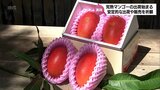 "今年は特に糖度が高い" 完熟マンゴーの安定した出荷と販売を　関係者が宮崎神宮で祈願|TBS NEWS DIG