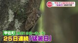 猛暑日“25日連続”　全国の最長記録更新　熊本・甲佐町　|　熊本のニュース｜RKK NEWS｜RKK熊本放送