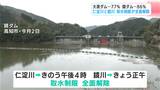 仁淀川・鏡川の取水制限「全面解除」　2月末から降った“恵みの雨”で、上流のダムは貯水率0％→約80%に回復|TBS NEWS DIG
