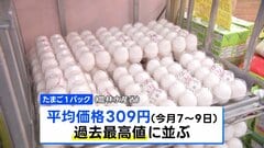 たまご309円・豚肉293円で過去最高値　農水省調査| TBS CROSS DIG with Bloomberg