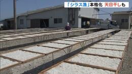 シラス漁が本格化…夏の味覚「ちりめん」つくる天日干しの光景も 徳島・小松島市|TBS NEWS DIG
