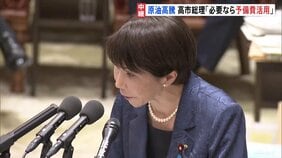 「必要なら予備費の活用も」高市総理が検討の考え示す　中東情勢うけた原油価格の高騰に対応のため|TBS NEWS DIG