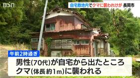 玄関を開けたら柿の木からクマが…70代男性が襲われ顔などにけが 命に別状なし 新潟県長岡市 |TBS NEWS DIG