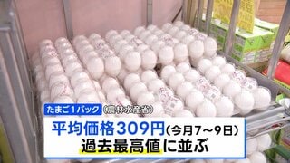 たまご309円・豚肉293円で過去最高値　農水省調査| TBS CROSS DIG with Bloomberg