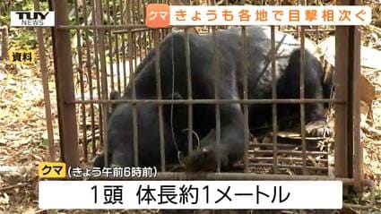 酒田・鶴岡・最上・大石田…県内各地でクマの目撃相次ぐ 神社付近や道路