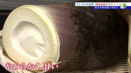 出荷停止が解け、16年ぶりに味わえるこの季節の旬の味 孟宗竹の