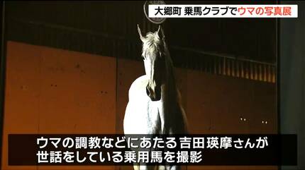 馬のいる景色 野生なのに超フレンドリーな馬を接写！「三好秀昌のニッポン探訪・取材