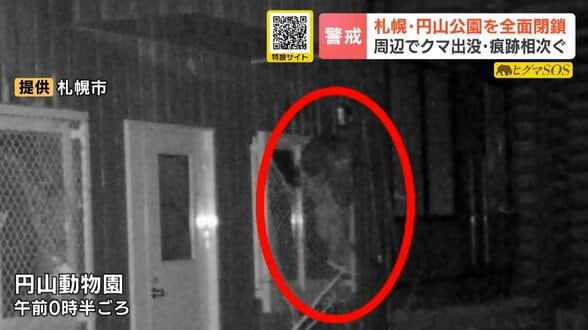『円山公園』を全面閉鎖　札幌・円山地区で相次ぐクマの出没で2週間程度　近くの円山動物園のカメラにはヒグマの姿も　|　北海道のニュース｜HBC北海道放送