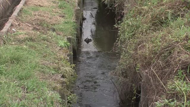 ｢三輪自転車にまたがったまま倒れている｣ 81歳女性が死亡  電動アシスト自転車で転落か 岐阜･山県市　|　名古屋・愛知・岐阜・三重のニュース【CBC news】 | CBC web