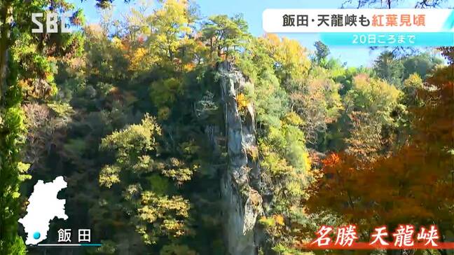 「川と紅葉がマッチしている」飯田市の観光名所・天龍峡の紅葉が見ごろに　長野|TBS NEWS DIG