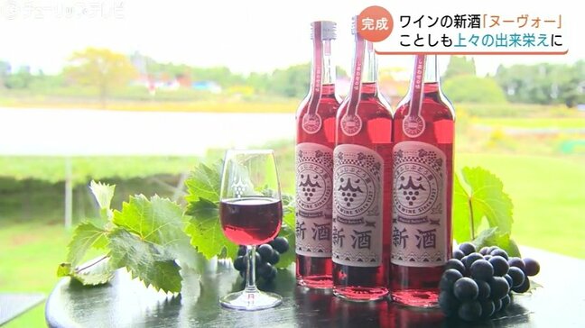 ことしも「ヌーヴォー」ワインの季節　富山市のやまふじぶどう園　 雨不足と猛暑乗り越え良い仕上がりに|TBS NEWS DIG