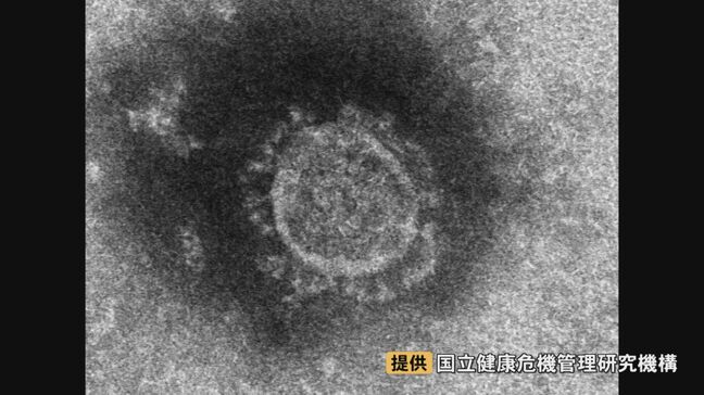 猛暑の中「感染症同時流行」コロナ・溶連菌・マイコプラズマ・百日咳…熱中症との区別が難しいケースも|TBS NEWS DIG