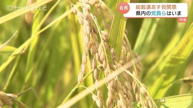 総裁のいすには誰が…富山の党員らは何思う　コメ高騰の今こそ「所得を増やすための経済対策」　若者が求めるのは「強いリーダー」|TBS NEWS DIG