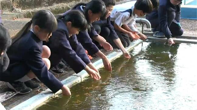 鹿児島県本土ほぼ全域で氷点下の朝 伊佐市ではプールに氷 出水市はツル北帰行|TBS NEWS DIG
