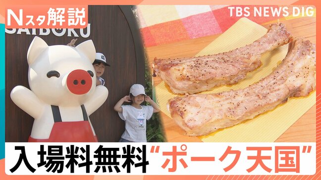 豚のテーマパーク「サイボク」は入場料無料でGW中大賑わい！　群馬には無料スポットが多数…なぜ？【Nスタ解説】|TBS NEWS DIG