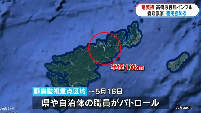 奄美大島で高病原性インフルエンザ「初確認」島の養鶏農家は警戒強める　鹿児島|TBS NEWS DIG