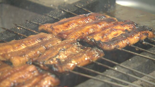 「土用の丑の日」前にうなぎ店にぎわう　今年は7月31日も丑の日|TBS NEWS DIG