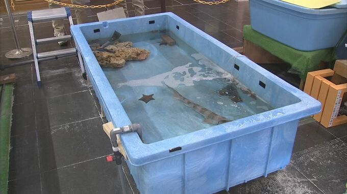 「配管むき出し」「不安定」…"手作り水槽"限界の水族館　100万円支援すると人気水槽へ"名前掲載"　「クラウドファンディング」始める　|　BSSニュース | BSS山陰放送