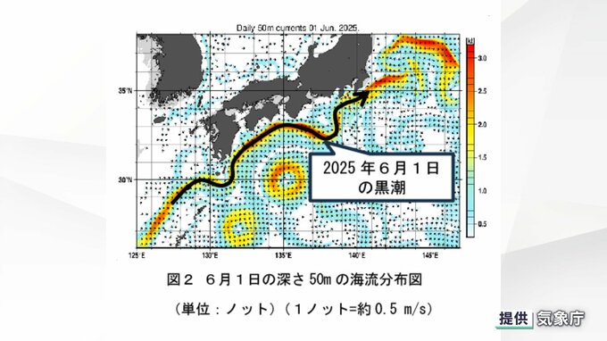 黒潮が「大蛇行していない」状況を確認 気象庁の海洋気象観測船「凌風丸」が観測 紀伊半島から東海沖で|TBS NEWS DIG