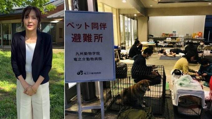 【 熊本地震 】杉本彩　熊本・竜之介動物病院の現状を伝える〝必要な支援が生じた際は行動したい〟家庭の犬猫たちが避難|TBS NEWS DIG