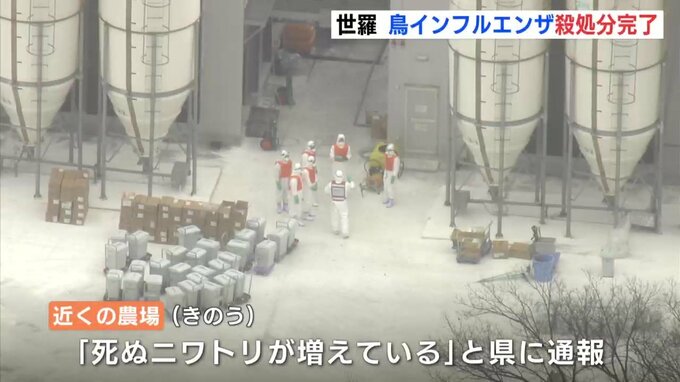 近隣農場で新たに…　広島･世羅町　鳥インフルエンザ 殺処分 完了　|　RCC NEWS | 広島ニュース | RCC中国放送