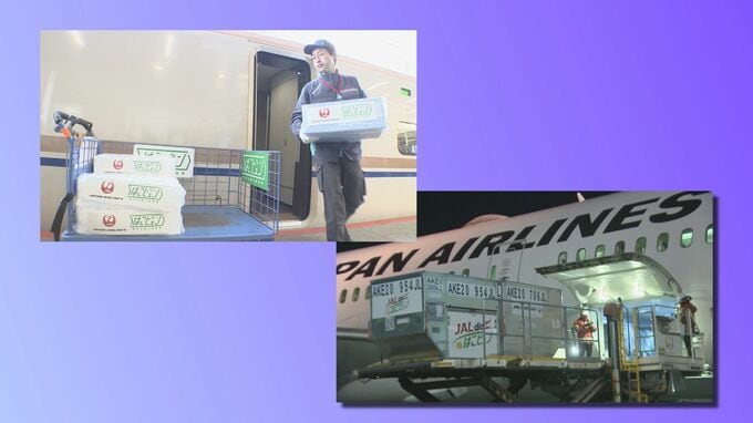 JR東日本とJALが新たな輸送サービス開始　“新幹線×飛行機”で生産地から消費地まで大幅な時間短縮　労働力不足解消や地方支援にも貢献目指す|TBS NEWS DIG