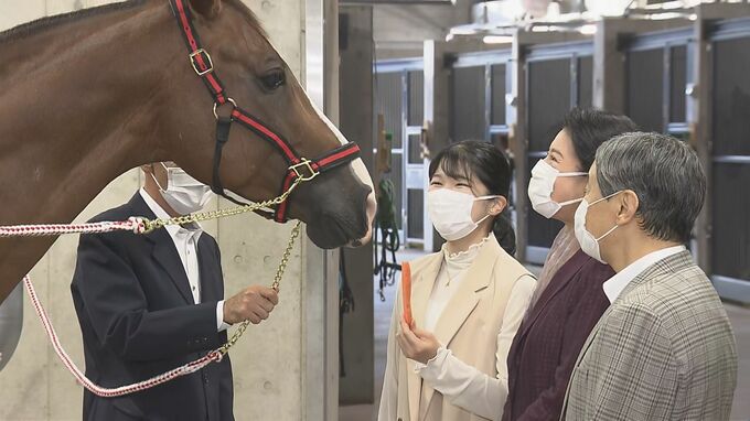 天皇皇后両陛下と愛子さまが伊勢神宮に贈る「神馬」を見学　ご一家でえさを与え馬の活躍を願う|TBS NEWS DIG