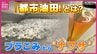 都市の油田を見逃すな!?　廃プラからナフサを採り出す新技術が本格始動　プラスチック・リサイクルの近未来予想図　広島　|　RCC NEWS | 広島ニュース | RCC中国放送