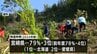 人工林を伐採した跡地に再び苗木を植えた割合「再造林率」　2024年度の宮崎県内は79%で全国3位　|　MRTニュース ｜ ＭＲＴ宮崎放送