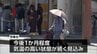 九州南部で厳しい暑さ続く見込み 気象台「今後1か月程度気温の高い状態が続く」と注意呼びかけ　|　MRTニュース ｜ ＭＲＴ宮崎放送