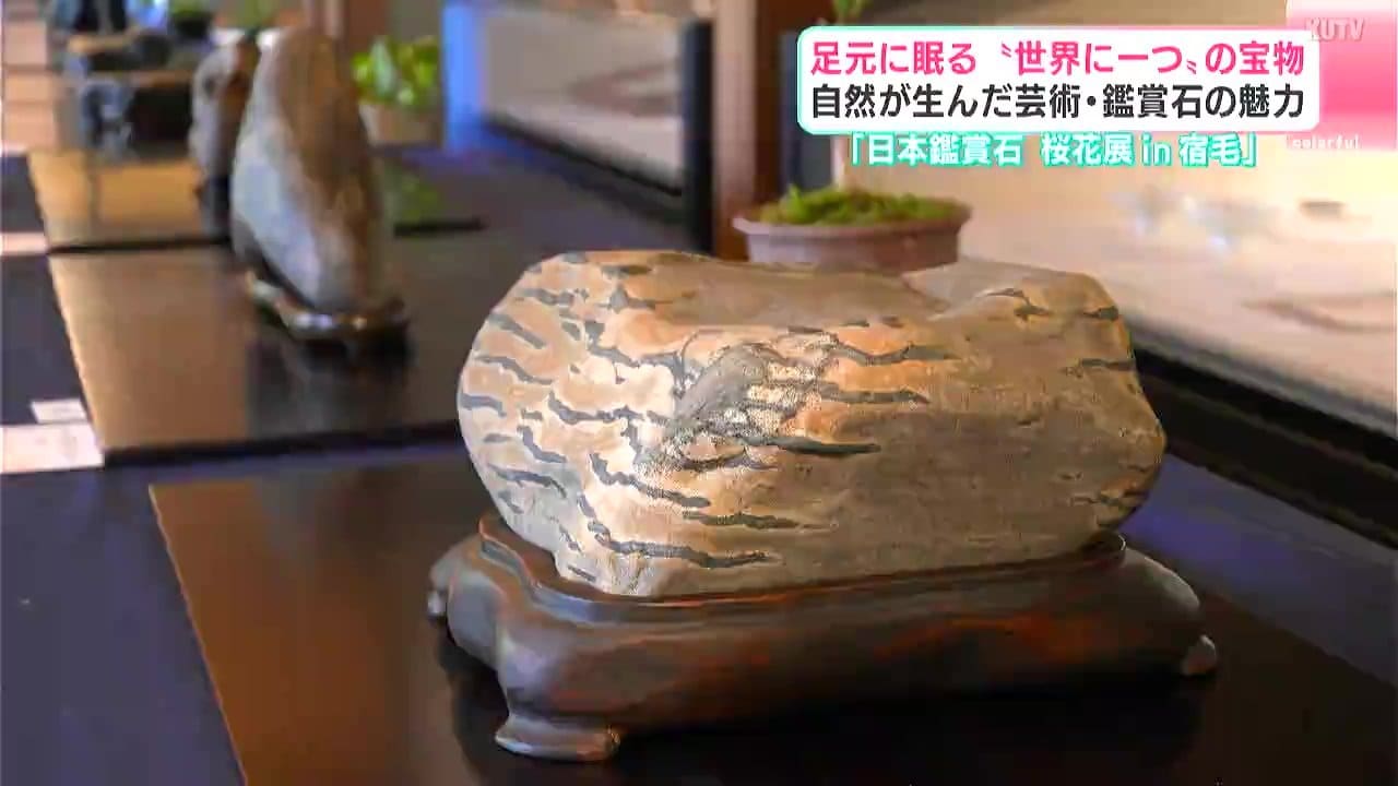 足元に眠る“世界に一つ”の宝物 自然が産んだ芸術・鑑賞石の魅力 高知は