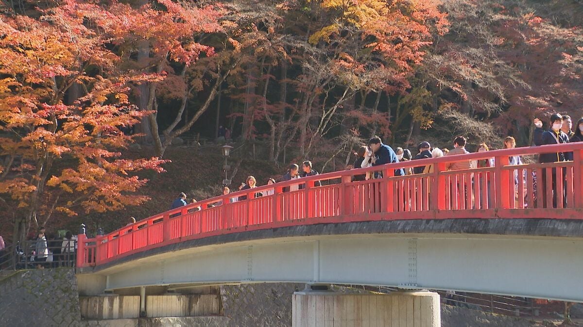 紅葉の名所“香嵐渓”　赤や黄色に色づいた約3000本のモミジが彩る　11月最後の週末も大勢の人が紅葉狩りやグルメを堪能　愛知・豊田市　