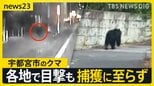 宇都宮市の繁華街にクマ「うわすご！」　夜も捕獲に至らず　各地で目撃情報…周辺の学校では臨時休校【news23】|TBS NEWS DIG