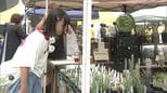 花や緑とともにまちを育てる体験型イベント「ふくおかまち育ミライ2025」|TBS NEWS DIG