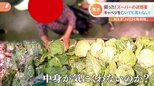 「むきキャベツの返却」に「ポリ袋ハンター」 タイムサービスで“割り込み犯”がまさかの逆ギレ!?スーパーの迷惑行為を徹底取材|TBS NEWS DIG