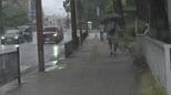 二戸市と一戸町にレベル3大雨警報発表　24時間降水量は奥中山で73.5ミリ・葛巻で63.5ミリ　岩手　|　IBC NEWS | IBC岩手放送