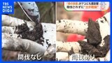「森の放置」が川の魚に悪影響 30年でアユ激減　手入れされない木が招く“土の乾燥”…大量の土砂が川に|TBS NEWS DIG