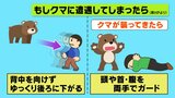 もし クマに遭遇してしまった場合、どうすれば…?|TBS NEWS DIG
