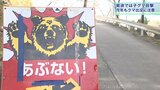 花見シーズン真っ只中の名所近くでクマの目撃 岩手・紫波町 花巻市は前倒しで対策会議|TBS NEWS DIG